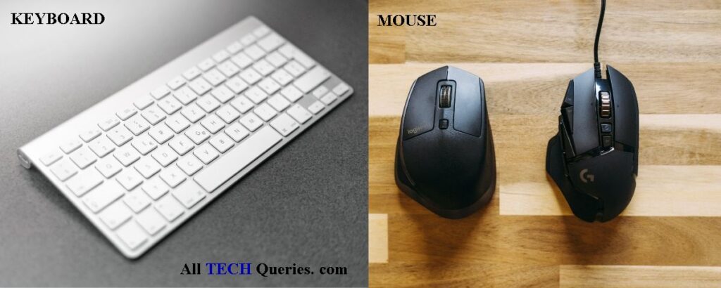 Components of a Computer Keyboard & Mouse