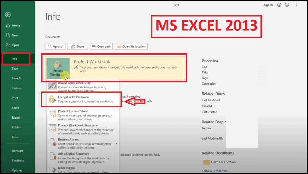 MS Excel 2013