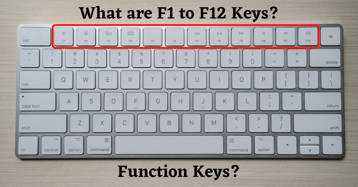 keyboard bluetooth function key, function keys not working, Function Keys, Keyboard Function Keys, keyboard function keys, function keys on keyboard, function keys on keyboard, f1 key not working, computer keyboard function keys, where is function key, mac function keys, function key not working, how to turn off function keys, function keys in a keyboard, how to enable function keys, Function Keys for Mac, function keys for mac, f3 key on laptop, f1 key function, f1 key function, what do the function keys do, how to turn on function keys, how to lock function keys, how do i turn off function keys, how to use function keys on mac, How to Use Function Keys, how to use function keys, how to use function keys, function keys of keyboard f1 f12, how to use the function keys on a laptop, how to change function keys, function keys on a keyboard, what are the function keys on the keyboard, how to use the function keys, how to use function keys on 60 keyboard, f3 key, what does the f1 key do, how to use the function keys on a 60 keyboard, f3 key on mac, f2 key not working, f2 key is used for, f1 key is used for, f3 key not working, f3 key is used for, f2 key on mac, f1 to f12 shortcut keys, F1 to F12 Keys, what is the use of f1 to f12 keys,What is the use of F1 to F12, Use of F1 to F12, Use of Function Keys