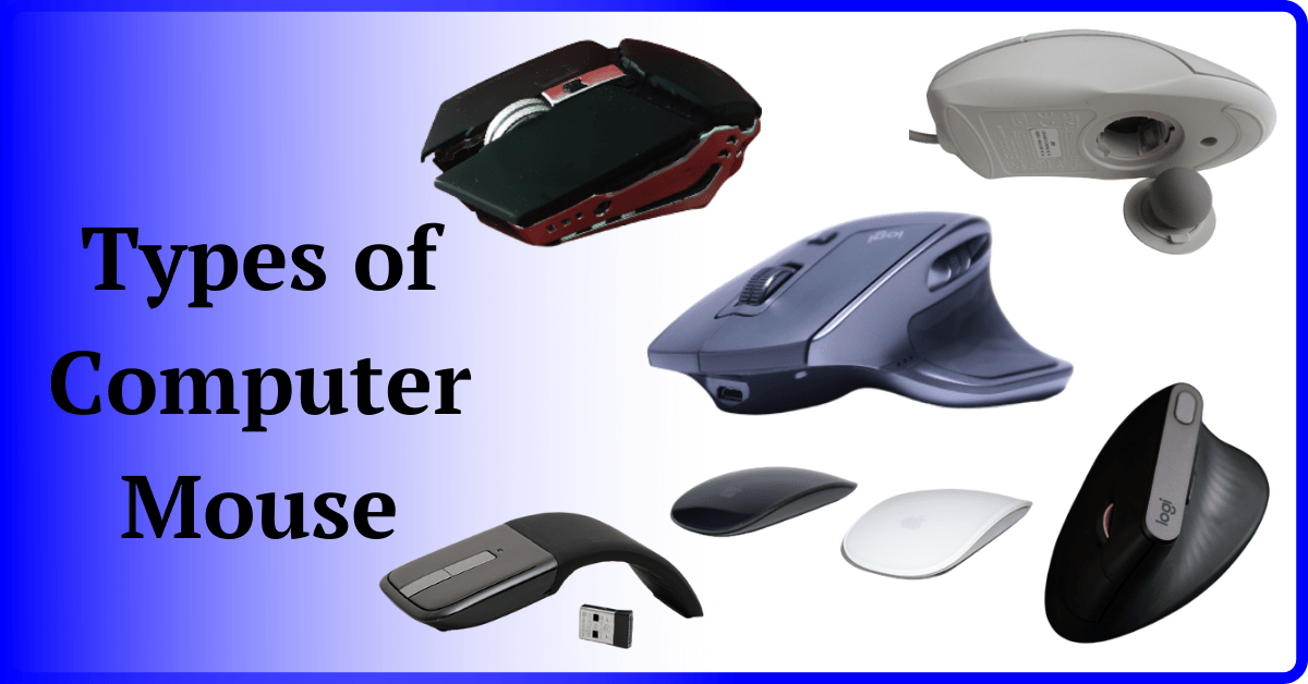 Types of Computer Mouse, Type of Mouse, Types of Mouse, Different Types of Mouse