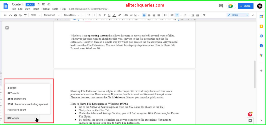 how to see word count on google docs, word count on google docs, how to check word count on google docs, check word count on google docs