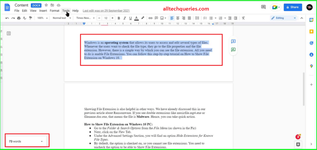 how to see word count on google docs, word count on google docs, how to check word count on google docs, check word count on google docs